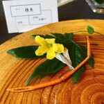 プレゼンテ スギ - 