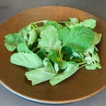 プレゼンテ スギ - 