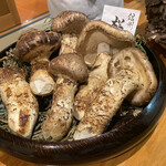 日本料理 みつわ - 日本産松茸