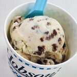 ホブソンズ - 料理写真:アイスクリーム　シングル360円