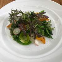 フィオレンティーナ - 