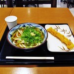 Marugame Seimen - かけうどん・イカ天