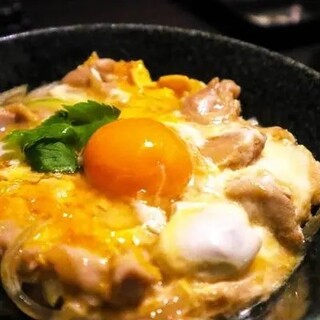 일품 닭고기 계란덮밥!