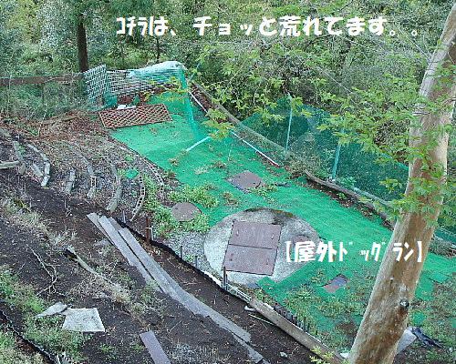 ドッグパレスリゾート 箱根 強羅 オーベルジュ 食べログ