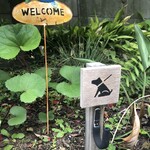 BREEZE BIRD CAFE＆BAKERY - 