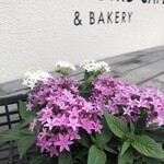 BREEZE BIRD CAFE＆BAKERY - 