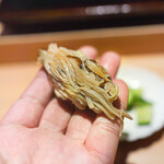 鮨 あらい - 松茸