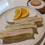 スカイメイプル - 