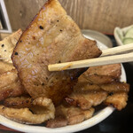 Nippontonen - 肉はまぁまぁ。焼き方がなぁ… コゲとか欲しいよね。