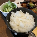 醤 - 豚ロース黒酢豚定食…税込1050円