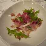 カッフェ アロマティカ - イサキのカルパッチョ。盛り付けも美しい