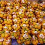 ジャパンミート卸売市場 - 