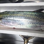 海鮮中国料理黄河 - 三河産5.4キロ鰆