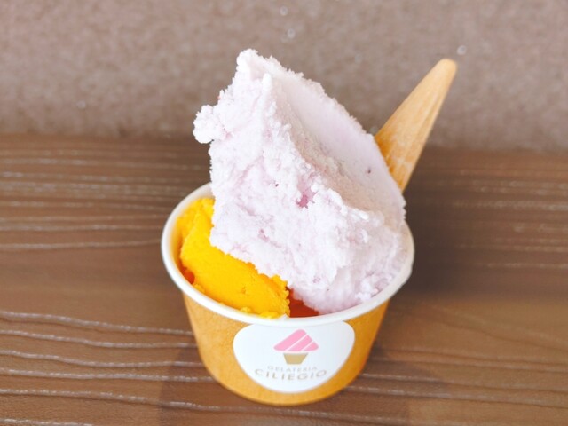 ジェラート工房 チリエージョ （CILIEGIO GELATO） - 金塚/ジェラート