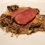 レフェルヴェソンス - 