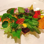 レフェルヴェソンス - 