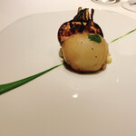 レフェルヴェソンス - 