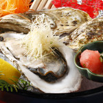 Sharaku - 北海道の湖で育てられた、大粒の牡蠣！年間通して、楽しめます♪