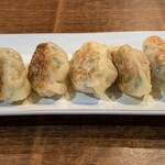 handmade Gyoza / Dumpling