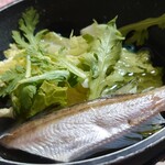 蒸ノ湯 - ハタハタ　しょっつる鍋