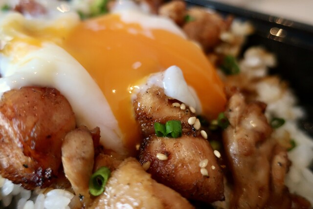 Toridori Midori photo 5