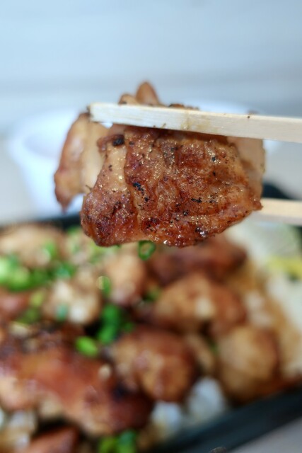 Toridori Midori photo 4