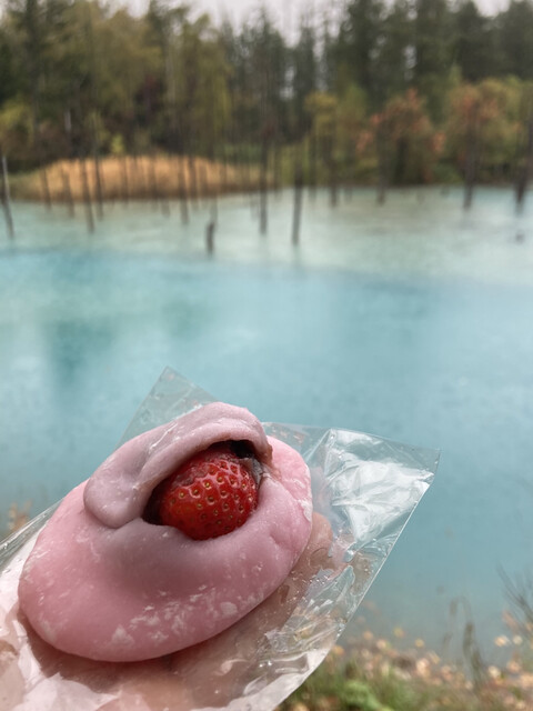 渡辺製菓 - 美瑛（大福）