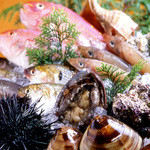 Sharaku - 天草灘で育った上質な鮮魚を豊富にご用意しております