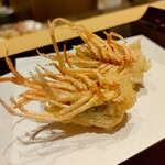 天冨良 麻布よこ田 - 