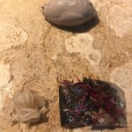 ル スプートニク - 10/1