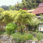 茶房　山帰来 - 