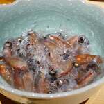 御料理ふじ居 - 蛍烏賊