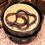 入谷鬼子母神門前のだや - 『幻の鰻・共水』『匠の鰻・兼光』『日向鰻・和匠』を使用しています。