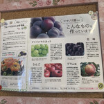 ジェラテリア フルッティ - 