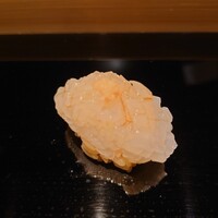 戸越銀座 鮨 ばんど - 烏賊