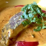 スプーンソング - 【2022年9月8日(木)】マダイのマッパス(カレー)