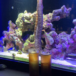 Diving shop & Bar FIRST STAGE - 