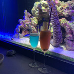 Diving shop & Bar FIRST STAGE - 