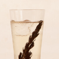 ローズマリーハイボール