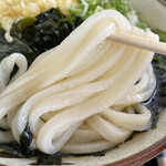 丸池製麺所 - やや幅広で粘りゴシの詰まったうどん