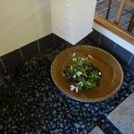 すし処 ひさ田 - 備前焼きの水盤が出迎えていただけます。