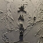 膳処末富 - 膳処末富