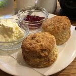 カフェ ウォルナット - 