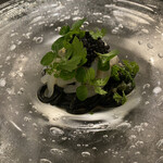 カーサ・デル・チーボ - 