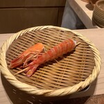 鮨 銀座 おのでら - 茹で上がり