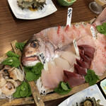 旅荘 みなと - 舟盛