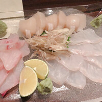 まある - くえ(長崎産)、黄あら(福岡産)、ほたて(佐呂間産)の盛合せ