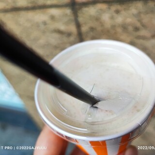 フルーツ・ヒラヤマ_0