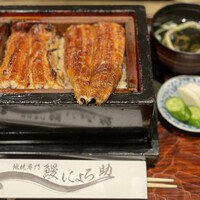 にょろ助 銀座 - 