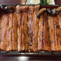 大塚 うなぎ宮川 -  大塚 うなぎ宮川 -